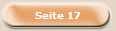 Seite 17